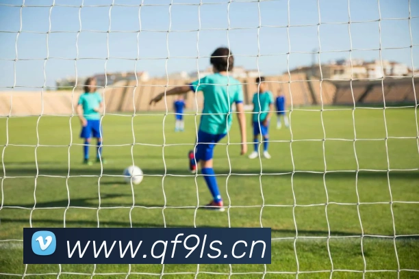 emc易倍全站网页版发展历程